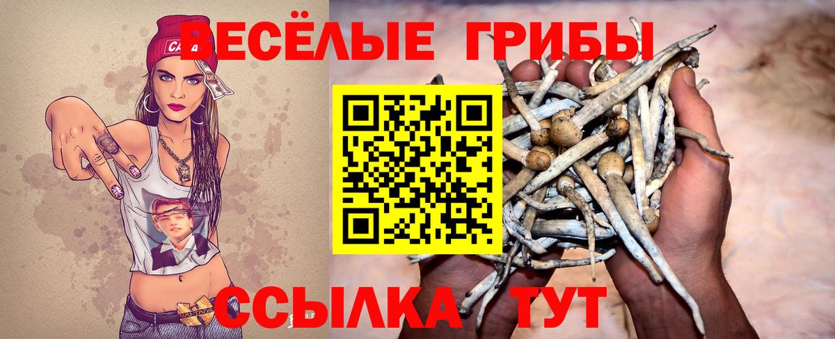 Псилоцибиновые грибы MAGIC MUSHROOMS  Вход с VPN  Псилоцибиновые грибы MAGIC MUSHROOMS  Черкесск 
